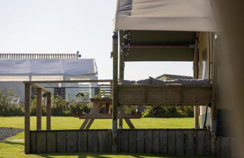 The Pig Arc - Foto 52