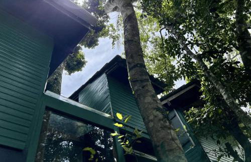 Casa Saíra - Photo 34