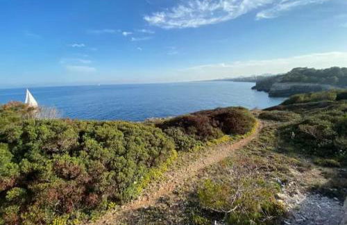 Houpla Porto Cristo - Foto 16