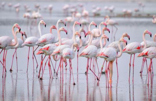 Apartamento María Mendoza - Foto 23