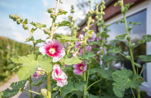 Polderhaus Deichblick direkt am Dullart - Foto 12