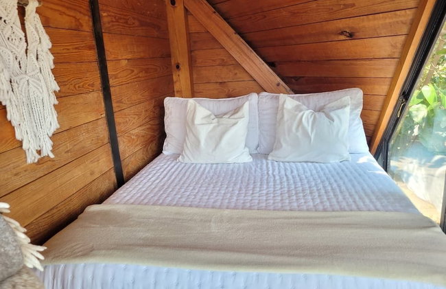 Bosque Geométrico - Photo 30