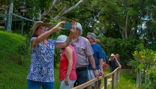 3 or 4-Day Yanamono Forest Tour - Photo 5, Hiking in the forest