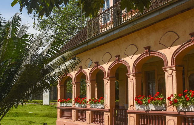 Tour pela Casa Krüger e passeio de trator na fazenda Ango Kersten - Foto 1