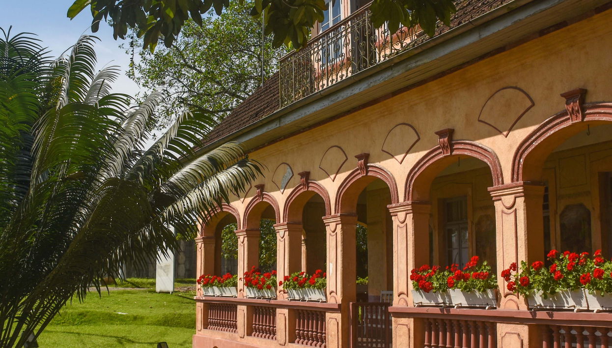 Tour pela Casa Krüger e passeio de trator na fazenda Ango Kersten