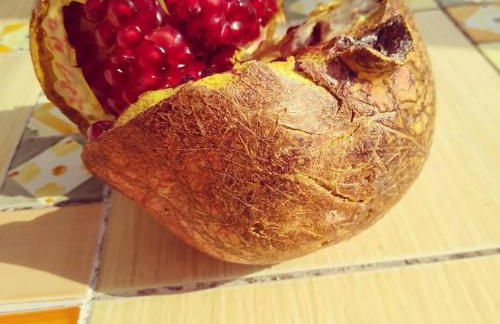 Residence Limoneto Ischia - Foto 56