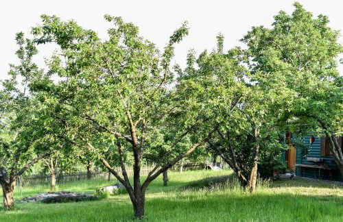 Landhaus Lehhof - Foto 43