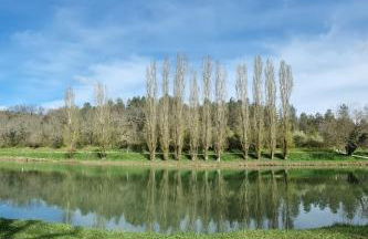 Château à Gourdon dans le Lot - Photo 6