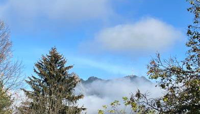 Ferienwohnung Flynn - Foto 3