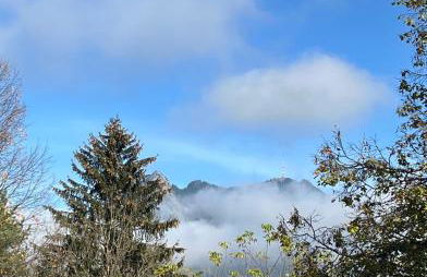 Ferienwohnung Flynn - Foto 3