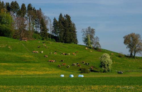 Ferienwohnung Immenberg - Foto 40