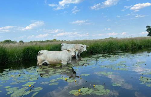 Ferienwohnung AllerStall - Foto 4