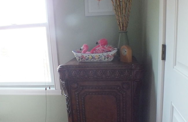 Montrose Farms Alpaca Ranch - Foto 13