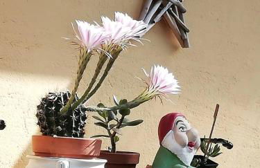 Casa in campagna oltrepo' pavese - Foto 10