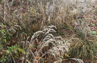 Ferienwohnung Auszeit am Kurpark Bad Berka - auch im Frühling toll! # Balkon # ruhige Lage # gratis Parkplatz & WLAN # Nähe Weimar # Weimarer Land - Photo 38