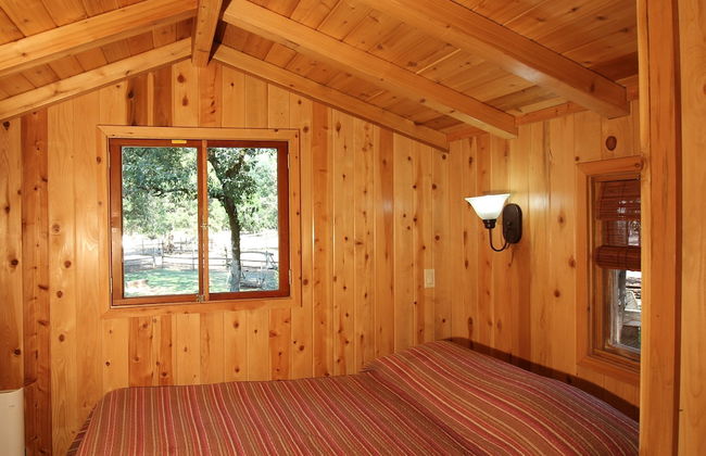 Out 'N' About Treehouse Treesort - Photo 33