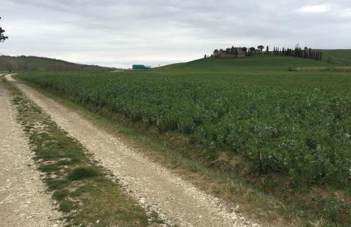 Casavacanze Da Cri - Foto 12