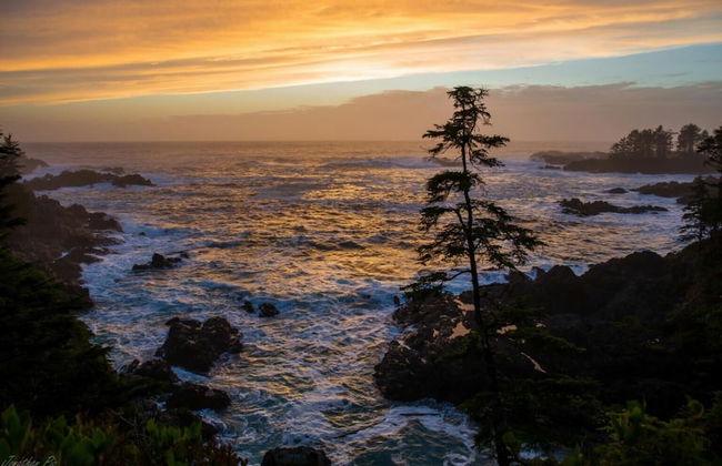 Black Bear Cottage - Photo 20