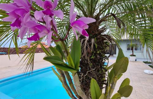 Casa da Piscina - Photo 17