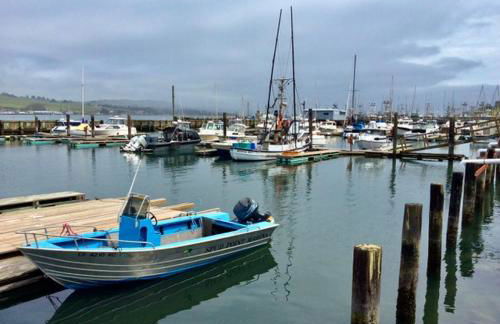 Fishermans Cottage - Sand Dunes Walk to Ocean - Foto 36