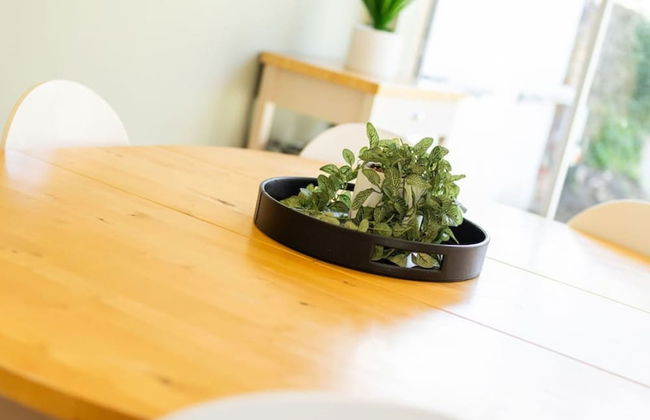 Fountainhall Townhouse Aberdeen City - Photo 69