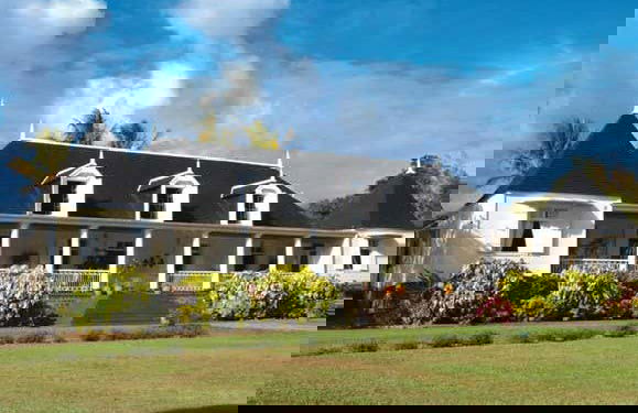 Mauritius Island Private Tea Tour - Foto 3