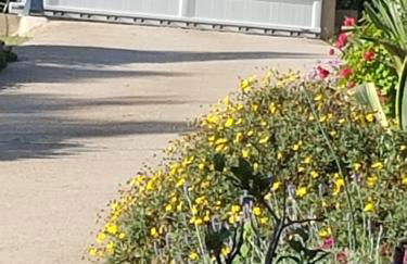 Casa Prescilia - Foto 22