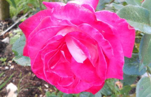 Agriturismo La Casa Nei Boschi - Foto 54