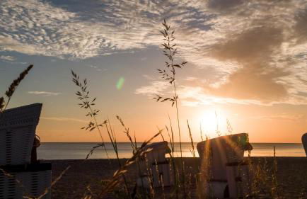 Ferienbungalow Oase - Foto 32