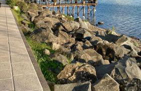 Trevignano Casa fronte lago - Foto 10