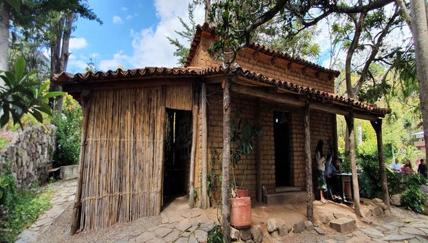 Sierra Juárez, Ixtlán, Guelatao, Capulalpam - Excursion d'une journée - Photo 3