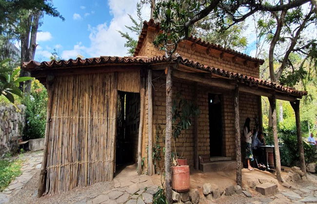 Sierra Juárez, Ixtlán, Guelatao, Capulalpam - Excursion d'une journée - Photo 3