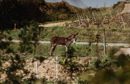 ALDAPA Casa Rural - Foto 65
