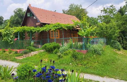 Kokotova hiža - Photo 44