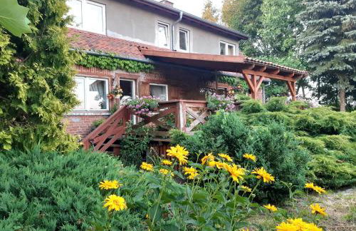 Dziki brzeg Jezioraka - Foto 15