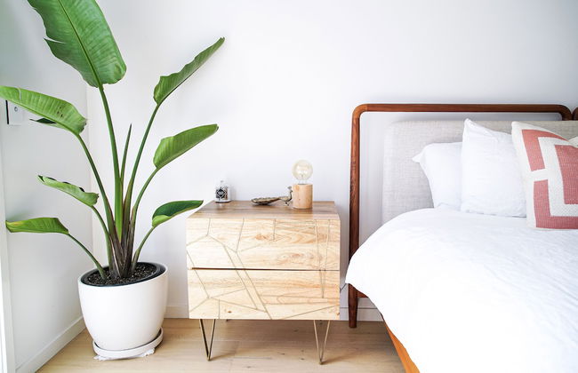 Your Luxury Escape - Paradise Palms - Foto 11