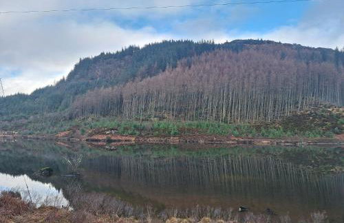 Twin Deer Lodge - Foto 43