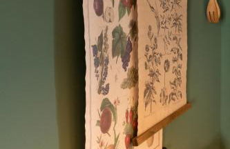 Weingarten 1897 - Foto 30