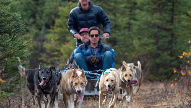 La slitta adattata all'estate