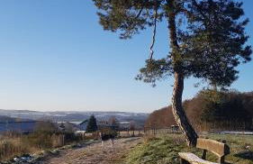 Ferienhaus Eifelperle - Foto 25