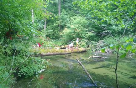 Jaskółka - pokoje i apartament przy plaży - Photo 39