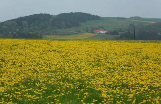 Holiday Apartment Siegmann - Foto 16