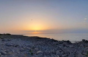 CASA CAVORA - Villa Petunie - Foto 23