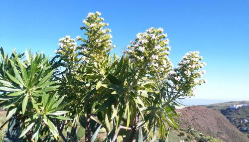 Chalet Ruta Las Lagunetas - Foto 4