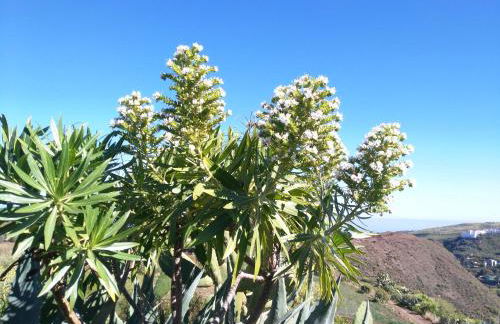 Chalet Ruta Las Lagunetas - Foto 4