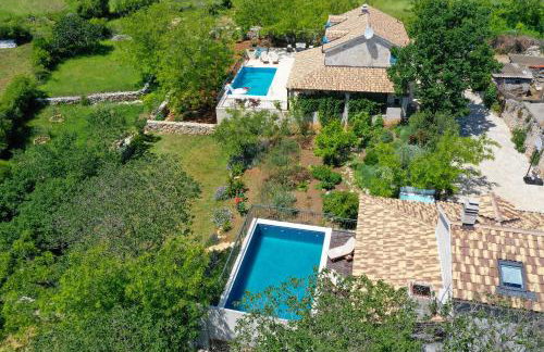 Villa Dvori Dida Mile - Foto 48