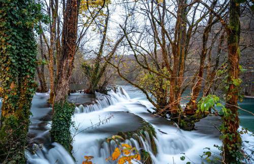 Ecotourism Mrežnica - Foto 26