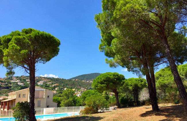 Le Mas d'Esquières - Foto 21