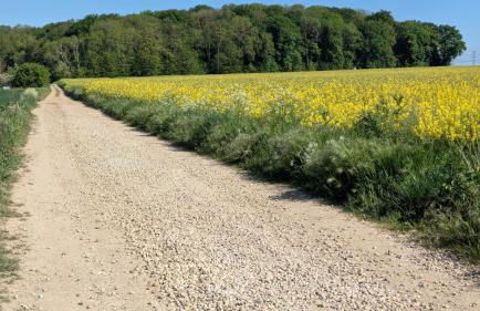 Les Marguerites - Foto 34
