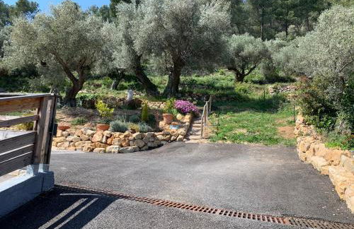 Lodge Casamance - Foto 21